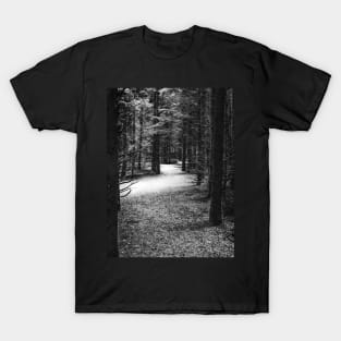 Photo of Mysterious Forest Trail Covered with Snow V1 T-Shirt